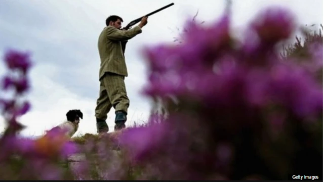 Man shooting in Scottish countryside