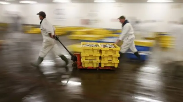 Generic still of men working in fishing industry