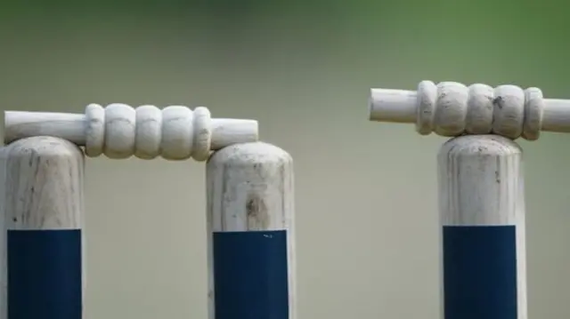 cricket stumps