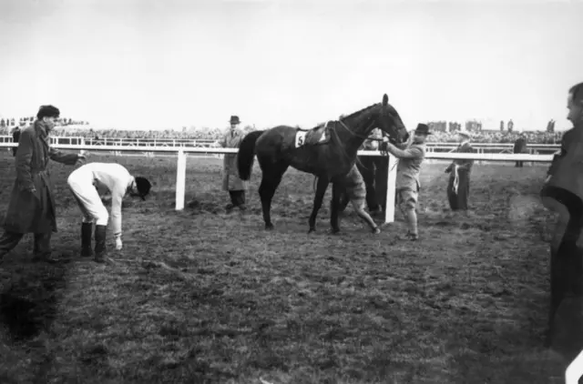 Jockey Dick Francis gets up after Devon Loch fell when leading the 1956 Grand National.