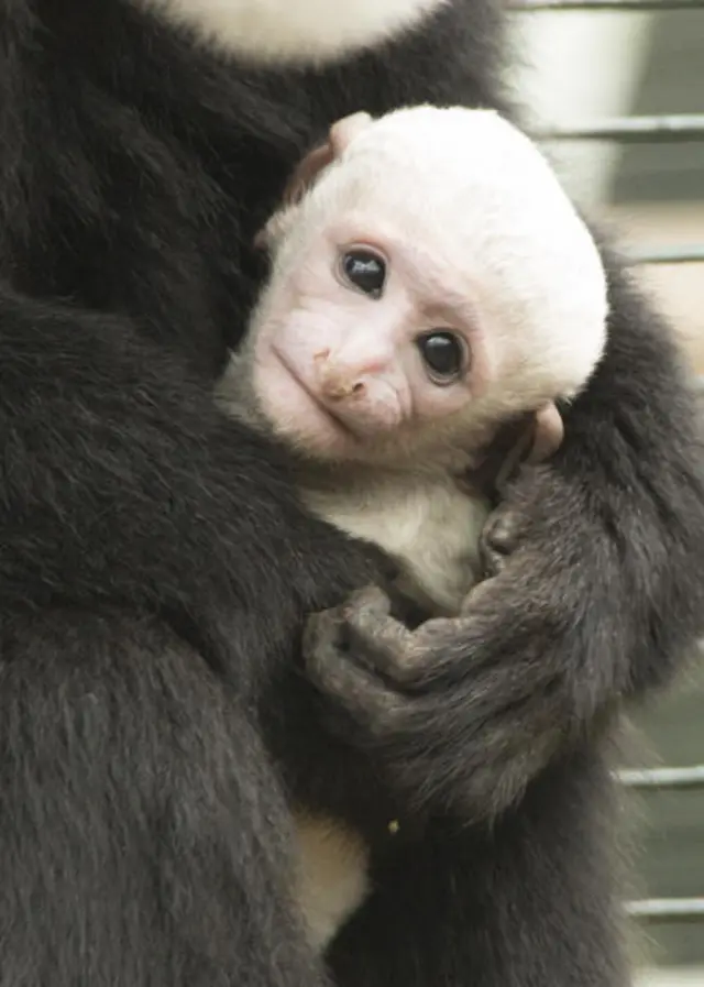 BBC London Live Updates from London on Wednesday 23 December 2015