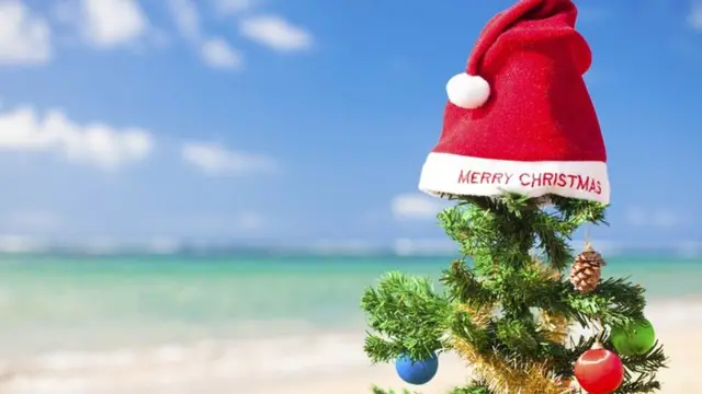 A Christmas tree pictured by the sea