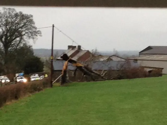 Tree down in Maulds Meaburn