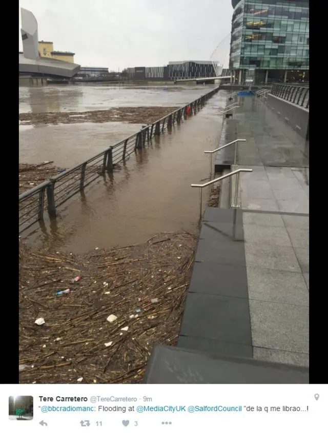 rising level at mediacity