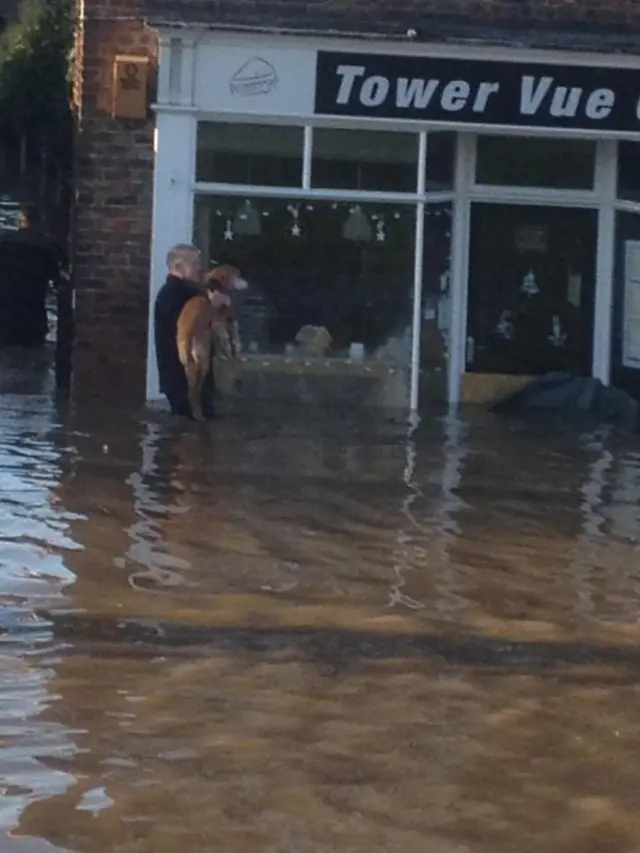 Dog being rescued