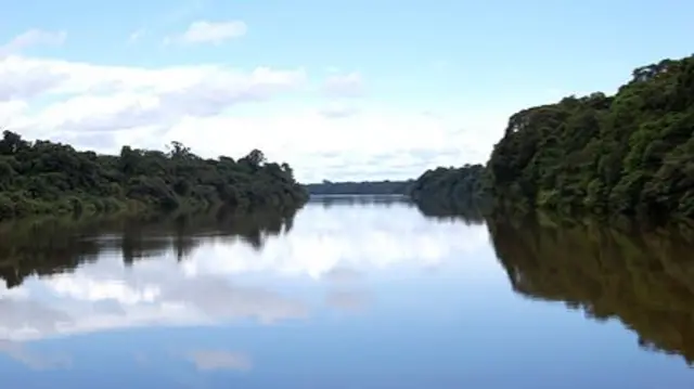 The Amazon