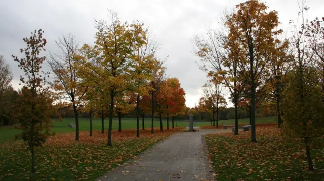 Telford Town Park