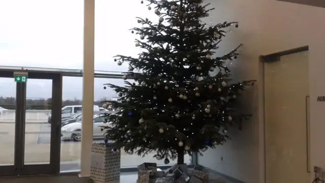 Tottenham Christmas tree