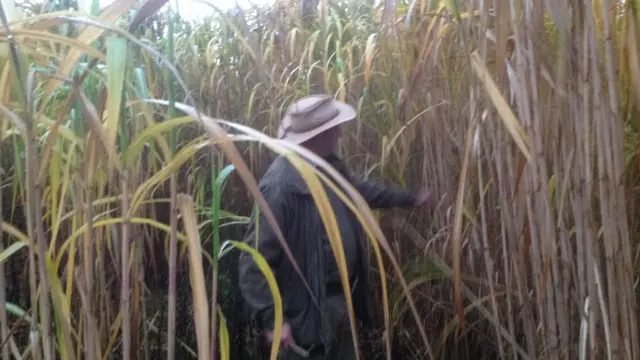 Colin Webb in a field