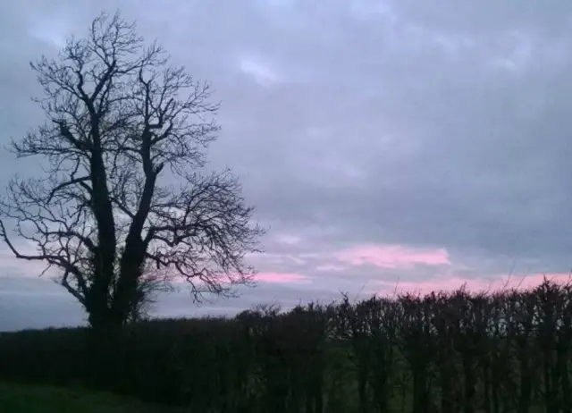 Field near Cambridge