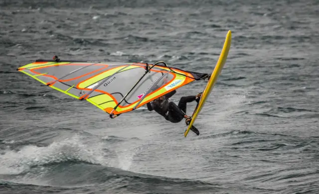 Windsurfer