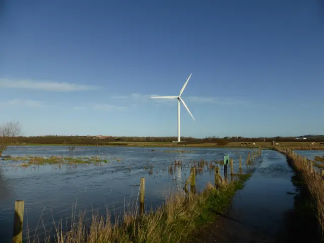 Bennerley Marsh