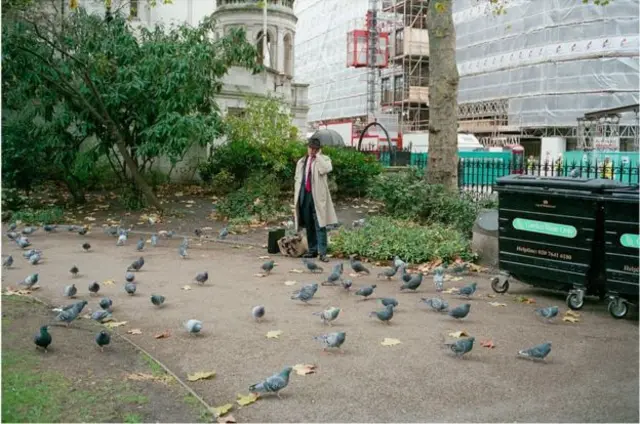 Whitehall Gardens, 2009