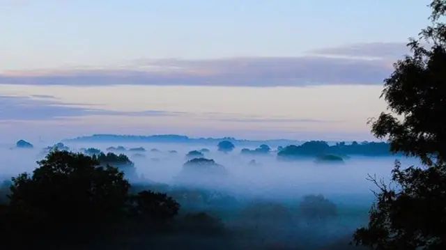 A misty Kingsley, Staffordshire