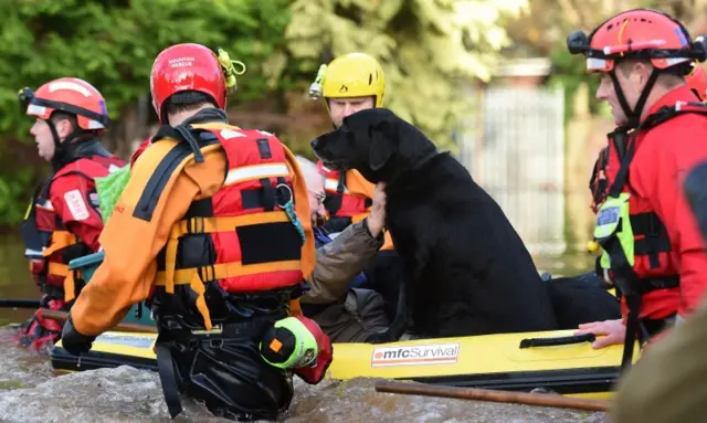 Man and his dog rescued in Carlisle