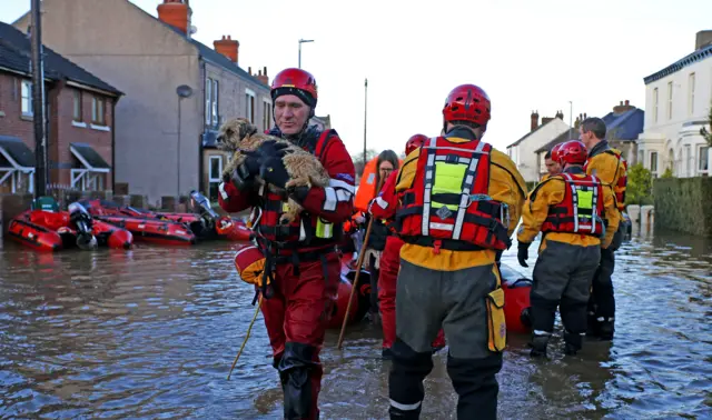 Rescue worker carrying dog