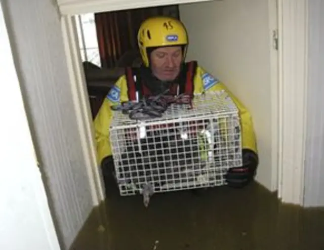 RSPCA man carries cat in cage in flood water