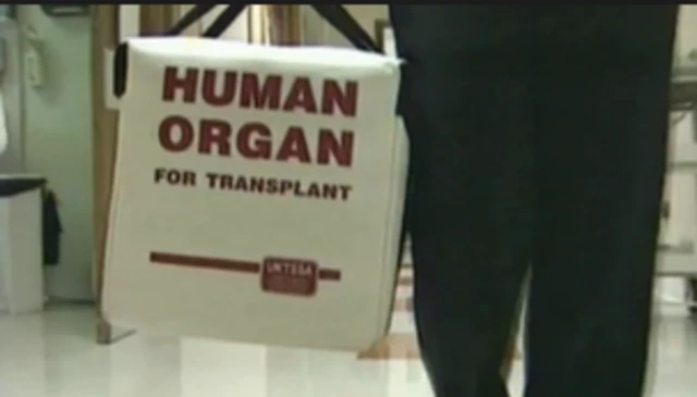 A human organ being carried for transplant