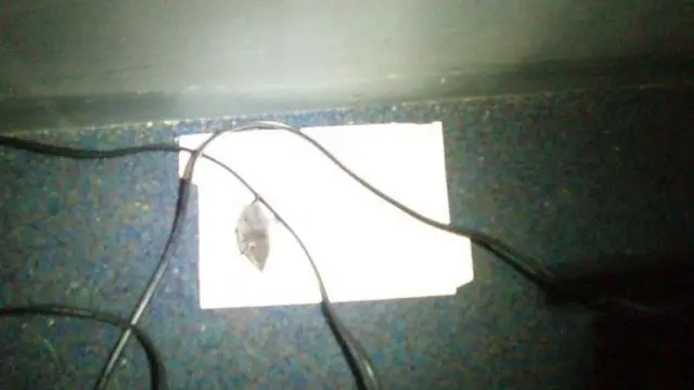 Dead mouse