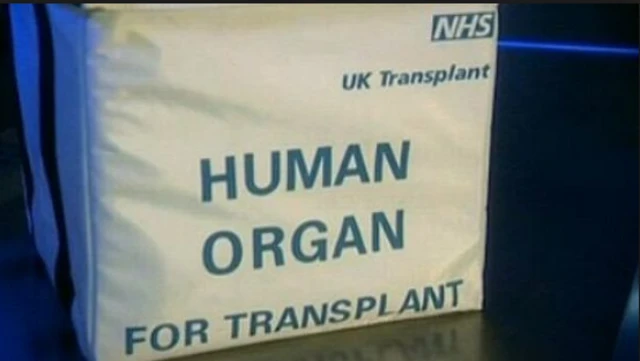 Human organ in bag ready for transplant