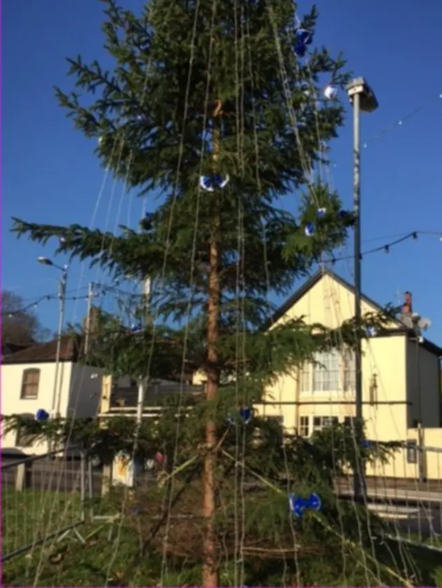 Thorpe St Andrew Christmas tree