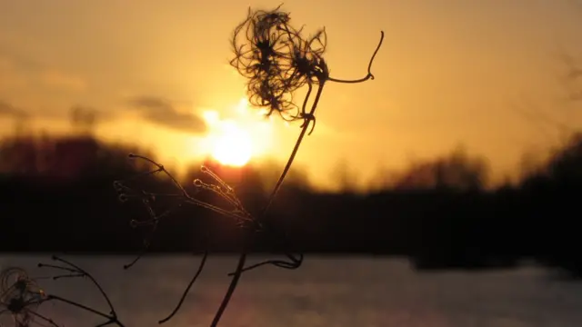 Radley Lakes sunset