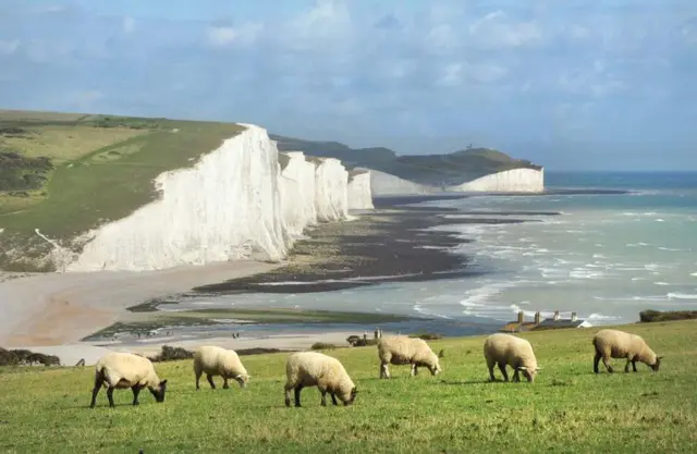 White Cliffs of Dover