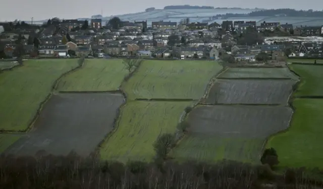 Housing and fields