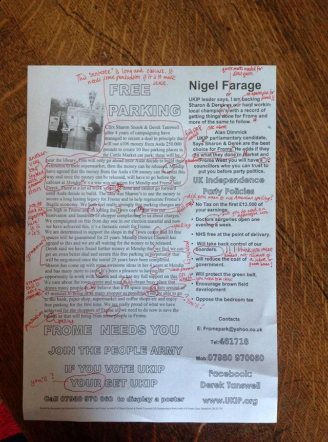 UKIP Flyer