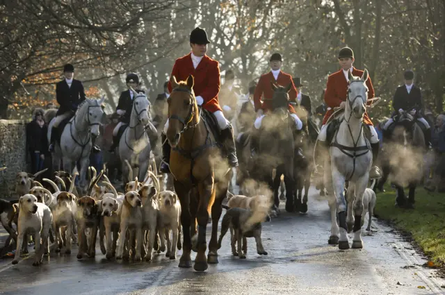 Boxing day fox hunting - The Avon Vale hunt