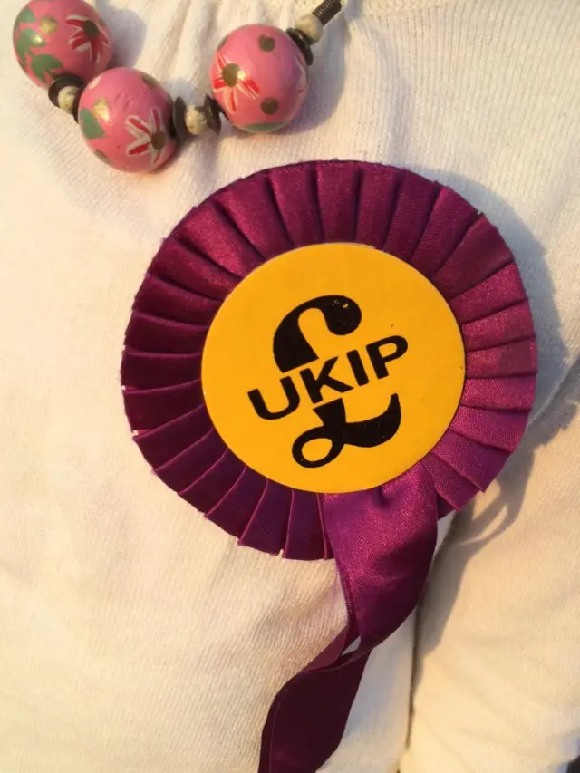 UKIP rosette