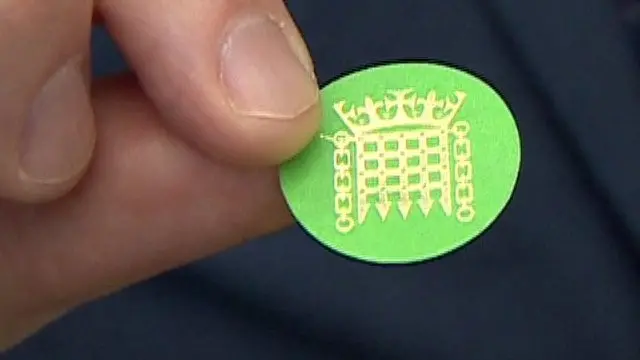 Green badge for new MPs