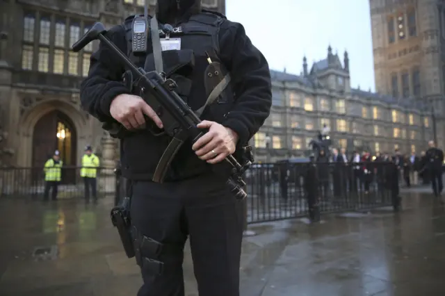 Policeman outside Parliament with gun