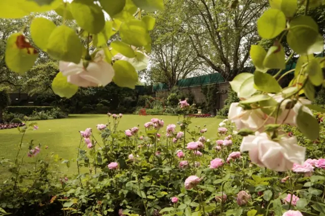 Downing Street garden