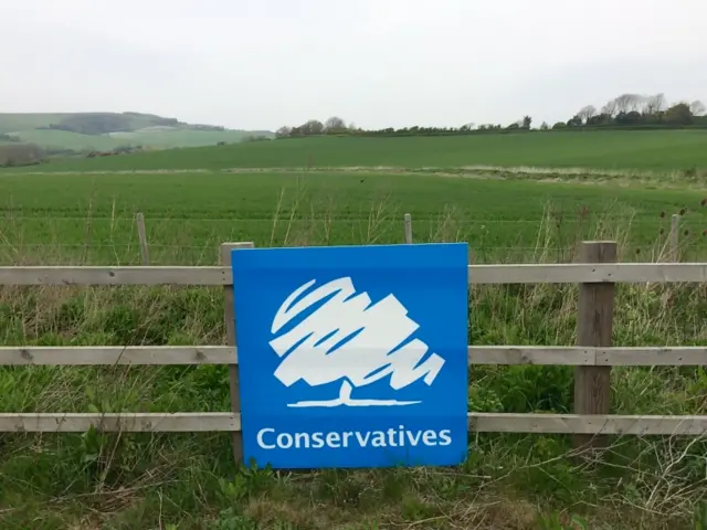 Conservative poster