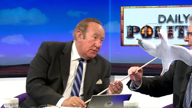 Andrew Neil with seagull