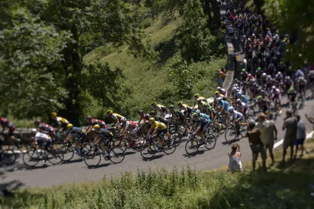 Riders at the Tour de France