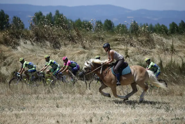 Horse rider takes on the peloton