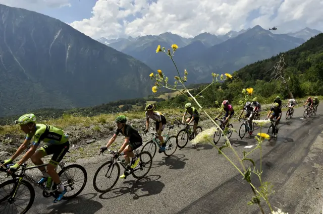 A general view of the peloton