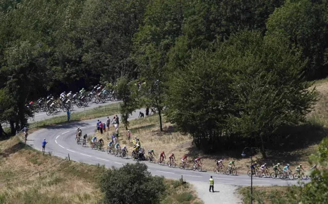 The pack ride on stage 19