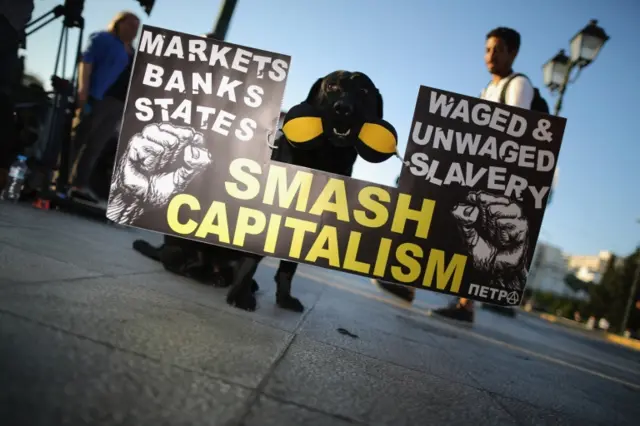 : A dog named Petra carries a political placard as people begin to gather in a square while waiting for the official result on 5 July 2015