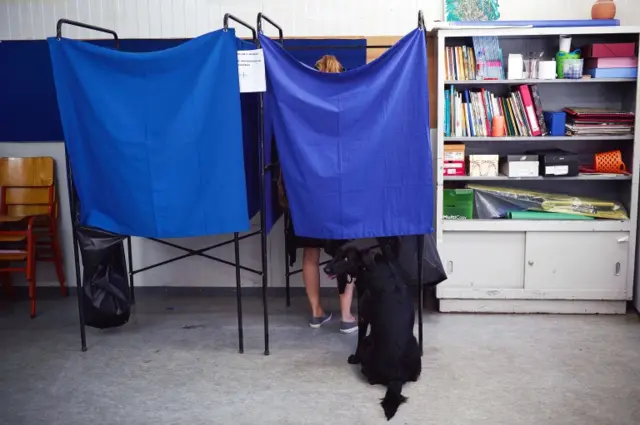 A dog waits outside a voting booth as its owner casts her vote inside a booth at a polling station during a referendum on austerity measures in Athens on July 5, 2015.