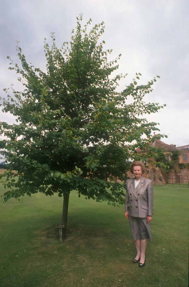 Margaret Thatcher next to a tree