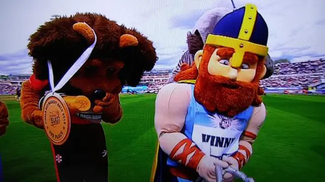 Mascots race, T20 Finals Day