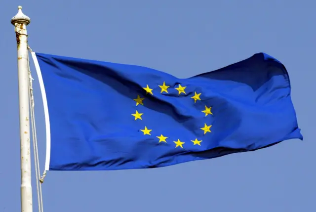 European Union flag