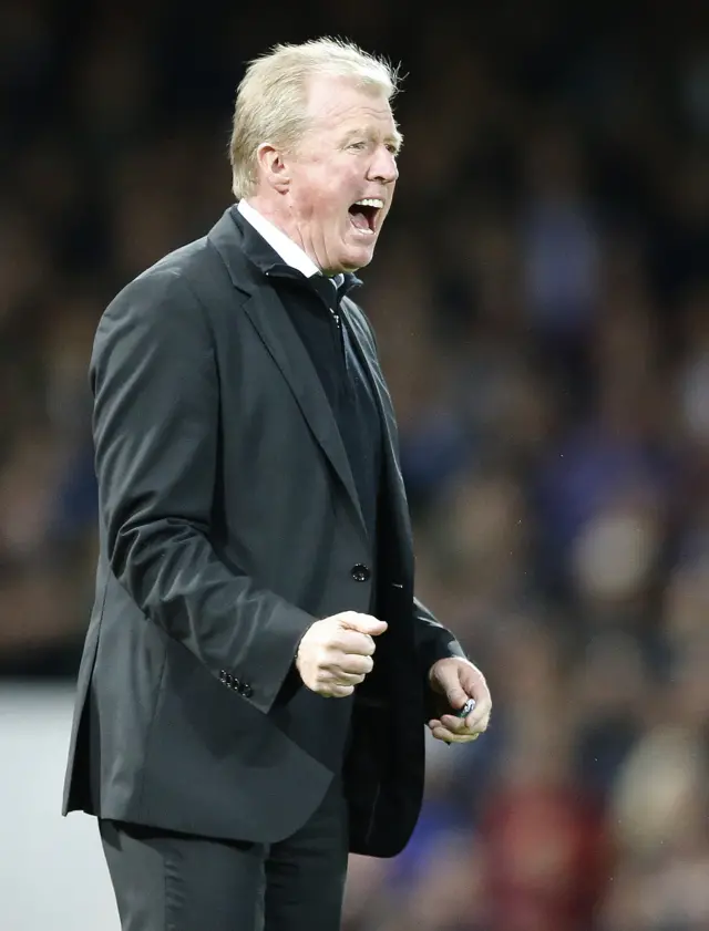 Steve McLaren