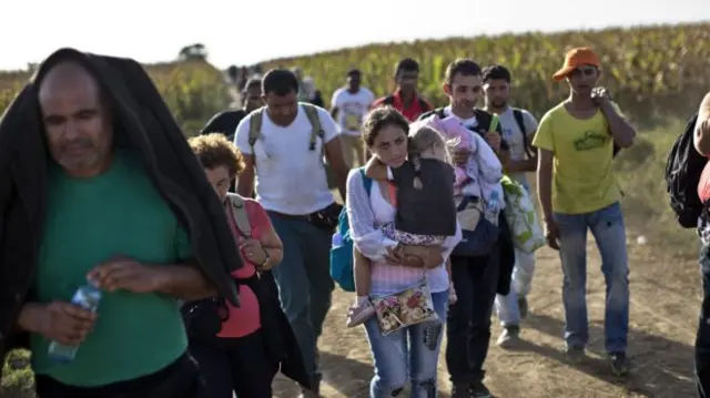 Many migrants walking through fields near Croatia border