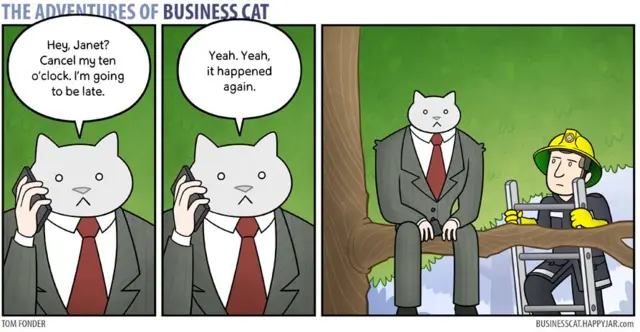 Business Cat