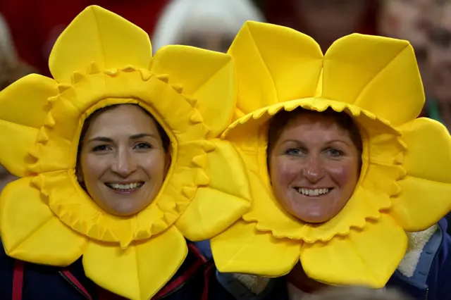 Wales fans