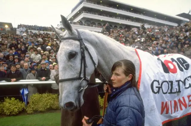 Desert Orchid